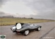 Auta - Jaguar D-Type 1954-1957 